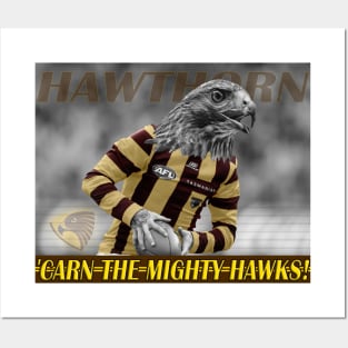 OG AFL - Hawthorn Hawks Posters and Art